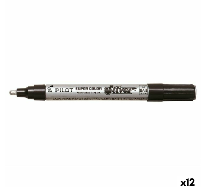 Permanent marker Pilot Disposable Silver (12 Units)
